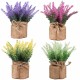 Artificial Plants